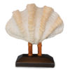 Clam Shell on Stand