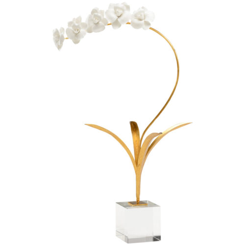 Orchid on Stand
