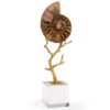 Extraordinary natural shell shaped fossil on antiqued brass coral stem mounted on a crystal base