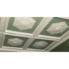 ceiling design with decorative ceiling medallions