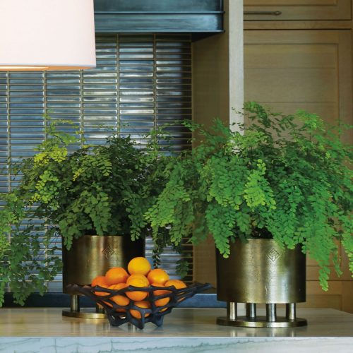 Plants add so much to an interior. The Japanese Cachepot provides the perfect vessel to feature a fern, orchid or any plant. Inspired by JapaneseBronzes, the vessel is featured on three cylindrical stems allowing the vessel and plant to be featured beautifully atop a table or surface.